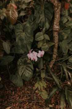 Vibrant and detailed capture of tropical vegetation with blooming orchids.