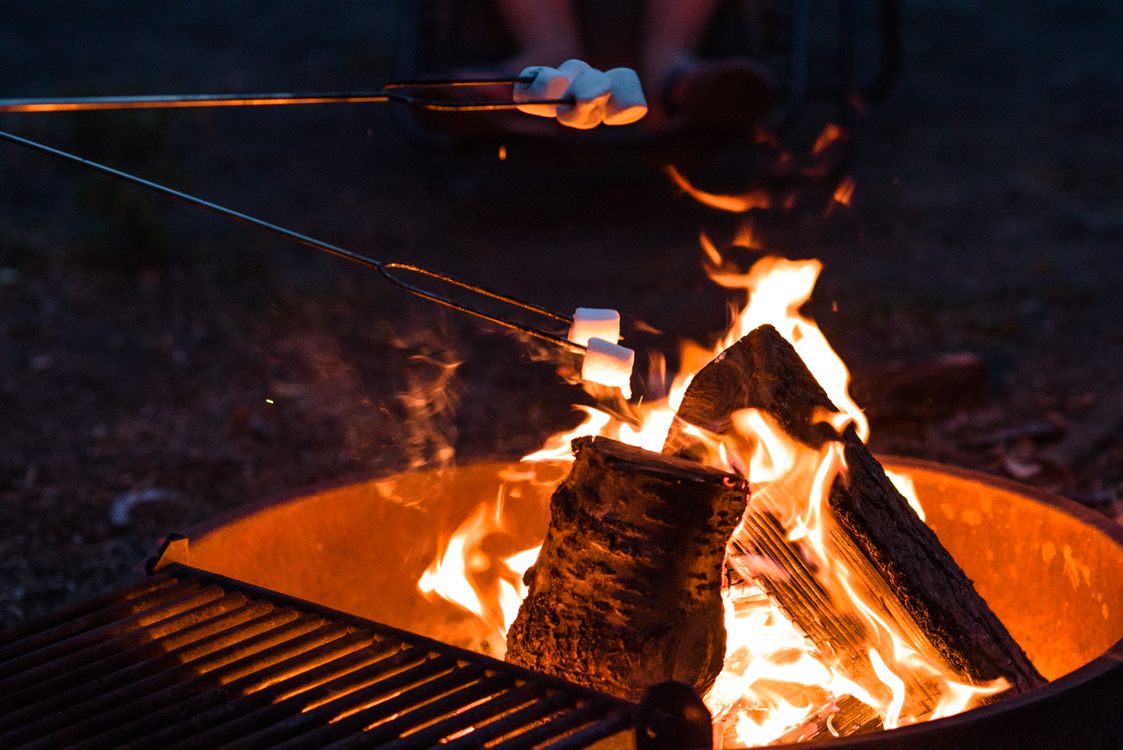 Free Marshmallows roasting over a campfire, perfect for a cozy outdoor night. Stock Photo