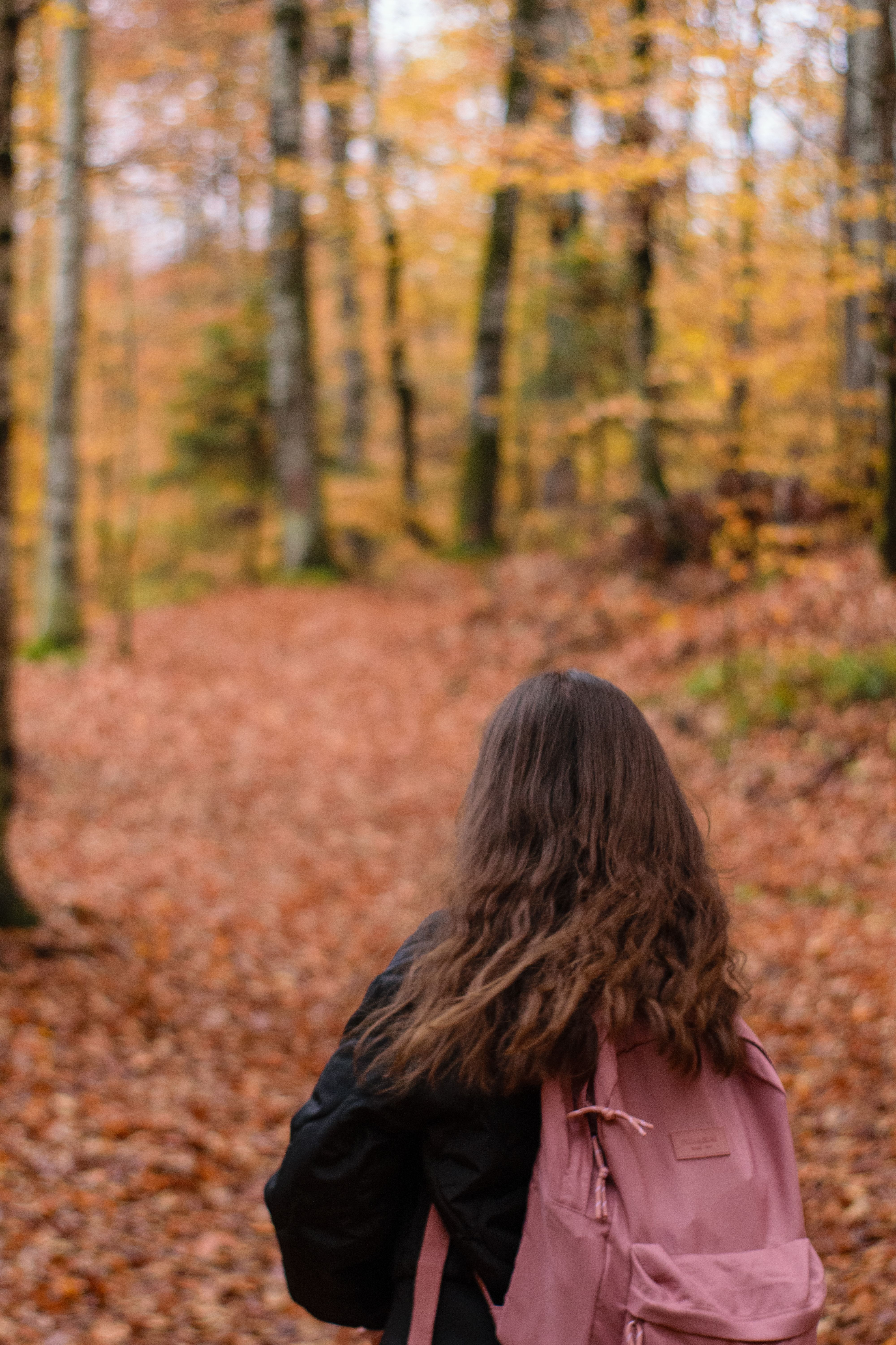 Young Woman Walking Through Autumn Forest · Free Stock Photo