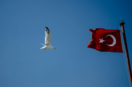 Free A seagull flies beside the Turkish flag against a clear blue sky, symbolizing freedom and national pride. Stock Photo