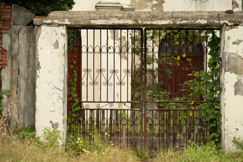 Free An old iron gate with ivy in a weathered stone wall background. Stock Photo