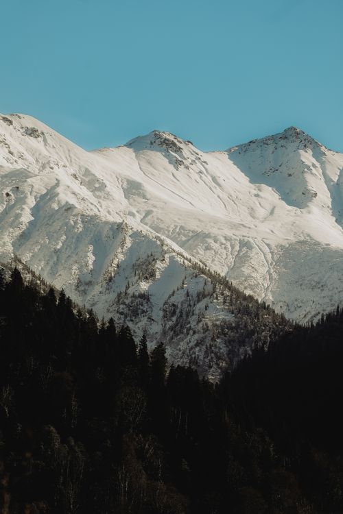 Free Majestic snow-covered mountain peaks under a clear blue sky with a dense forest at the base. Stock Photo