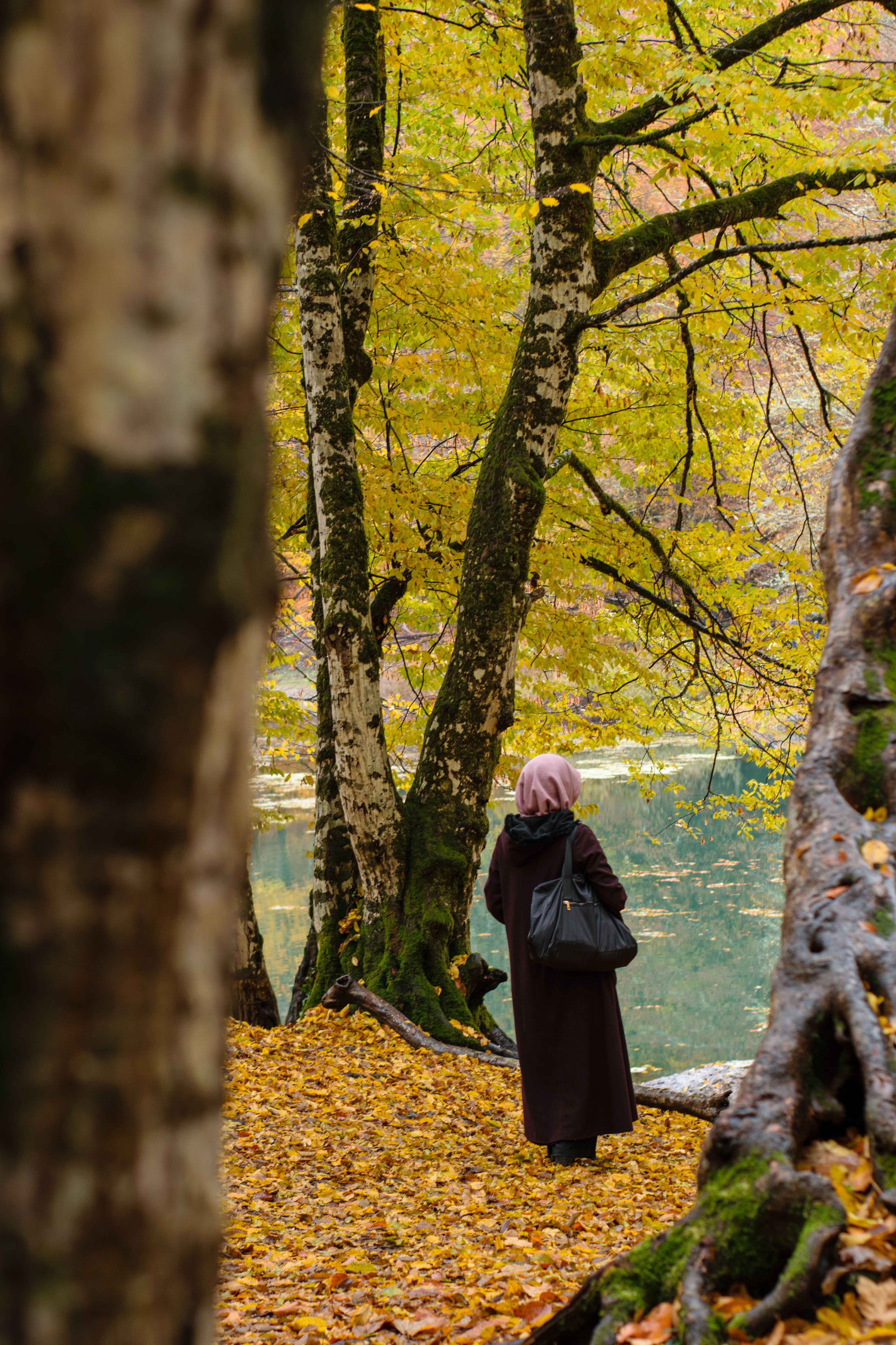 Woman in Hijab Walking Through Autumn Forest · Free Stock Photo