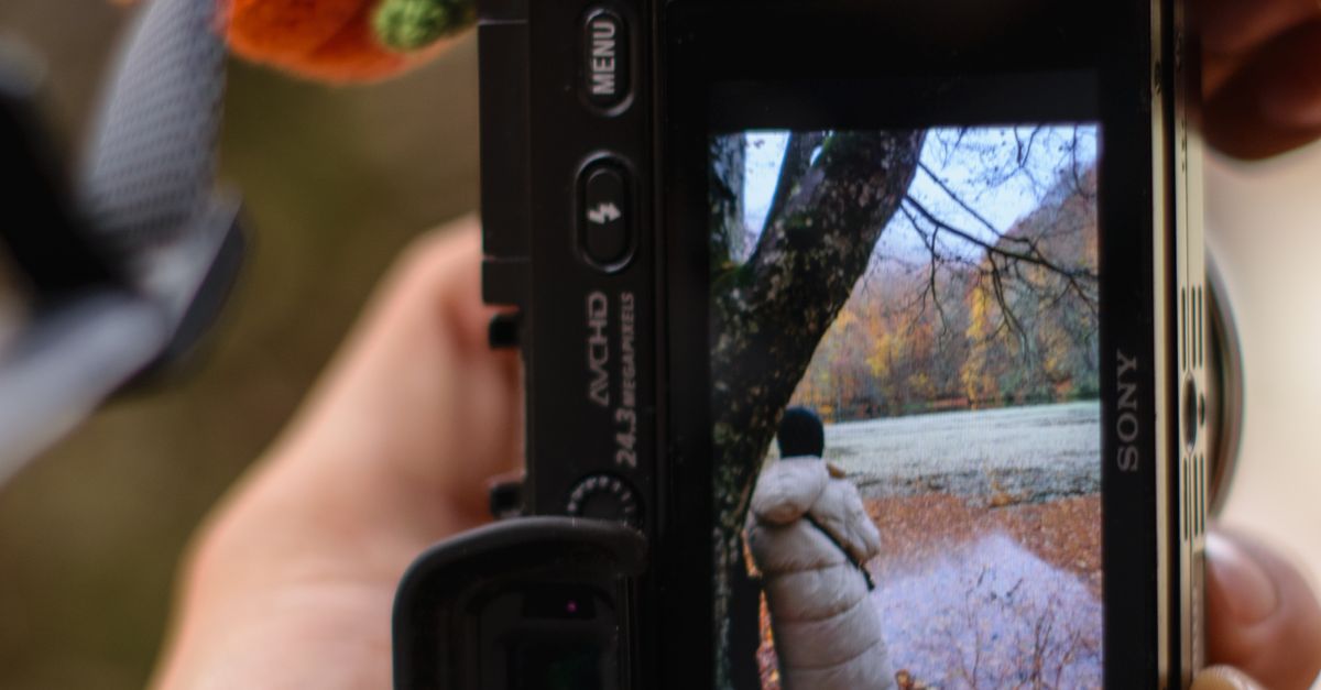 Capturing Autumn Through the Camera Lens · Free Stock Photo
