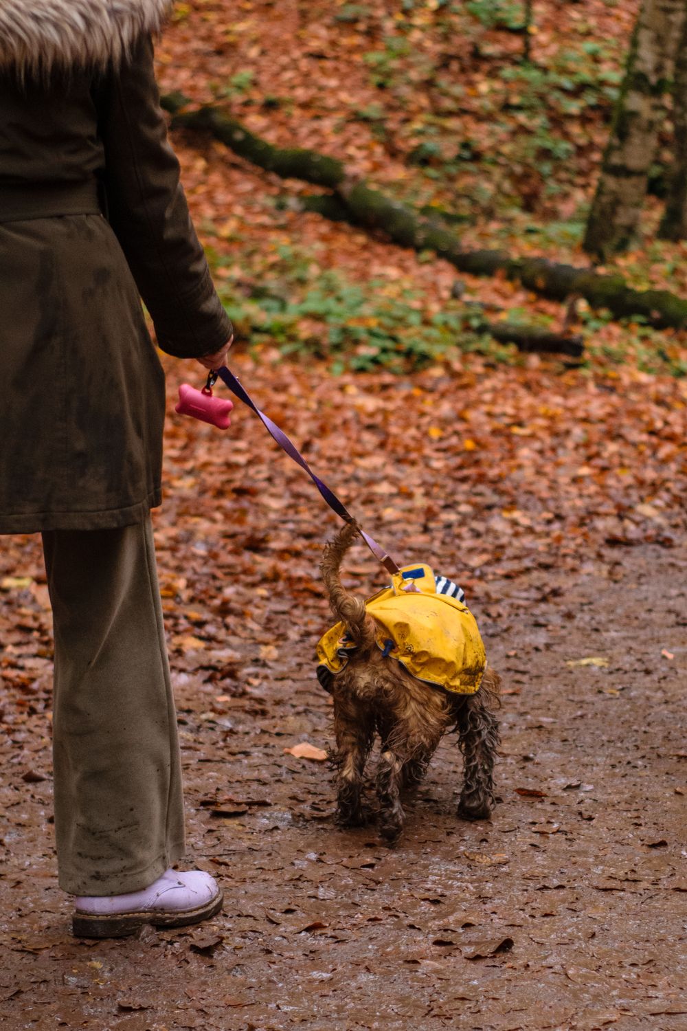 Person walking a dog in a yellow raincoat on a leafy autumn path