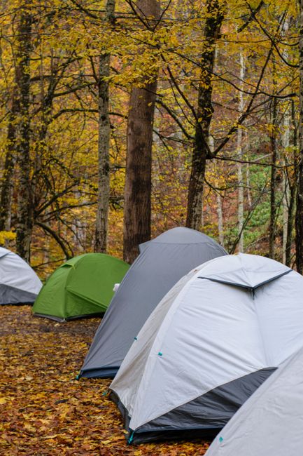 A cozy fall campsite with a tent, lantern, camp chair, and autumn trees in the background