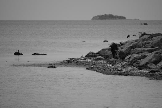 Serene black and white photo of a rocky coastline with a distant island view.