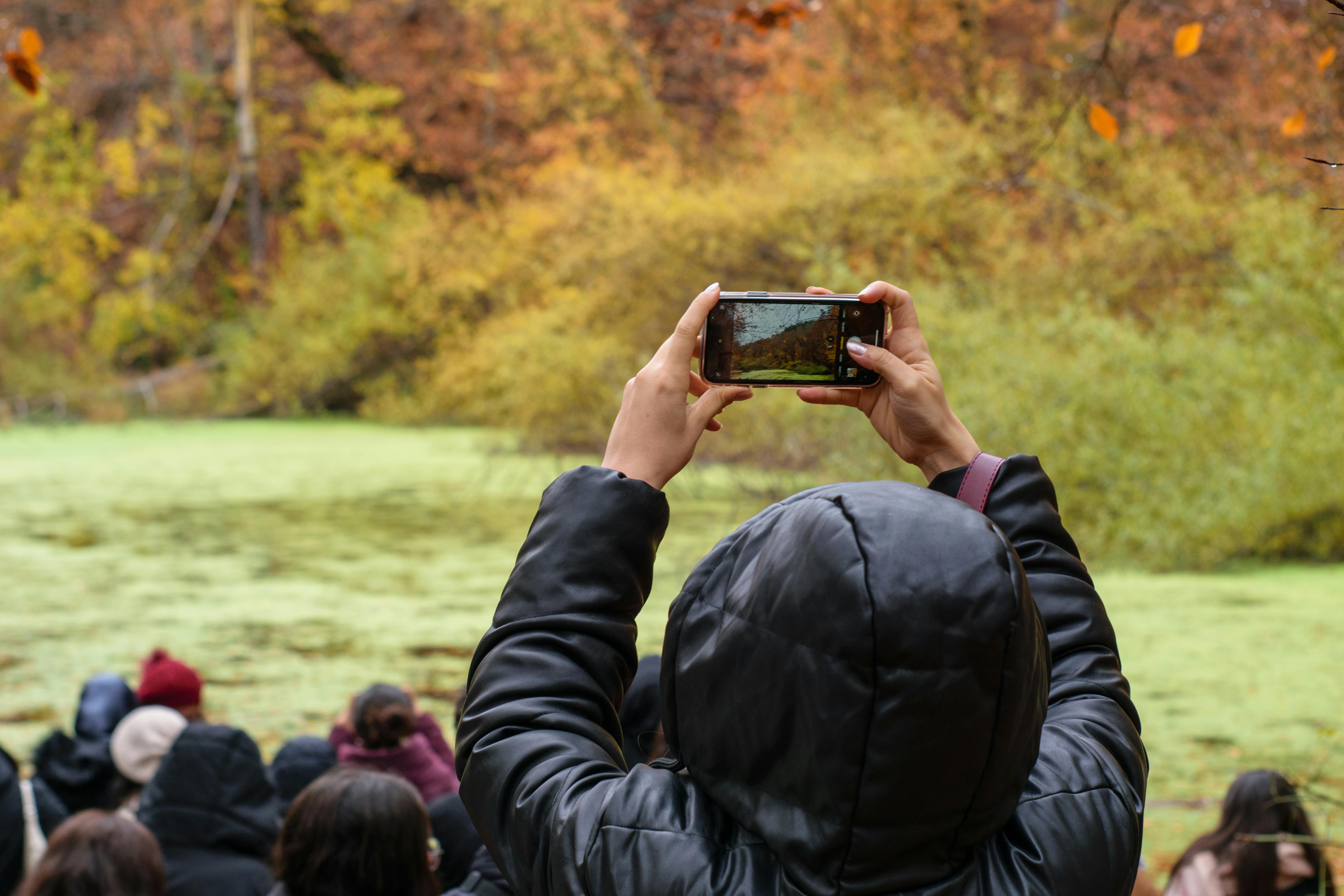 A person photographs a scenic autumn landscape on a smartphone, surrounded by nature.