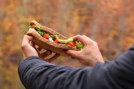 Hand holding a fresh sandwich with outdoor autumn backdrop.