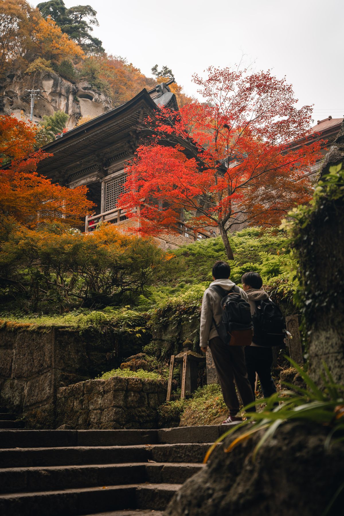 Risshaku-ji temple buildings surrounded by vibrant autumn foliage at Yamadera, Yamagata