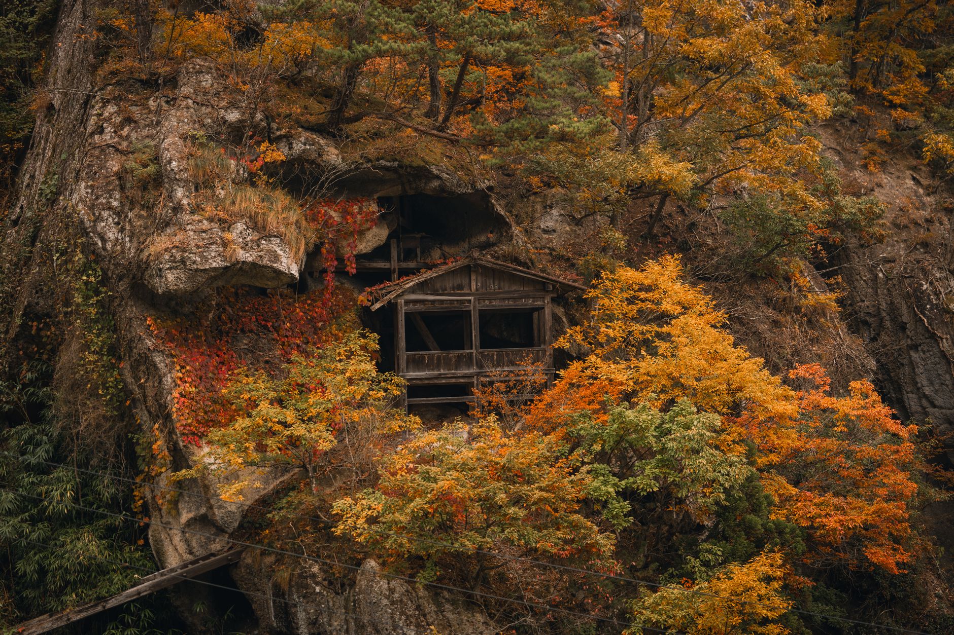 A quaint wooden cabin nestled within a majestic autumn forest cliff, showcasing vibrant fall foliage.