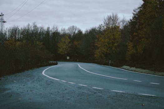 Serene winding road through an autumn forest showcasing nature's seasonal beauty.