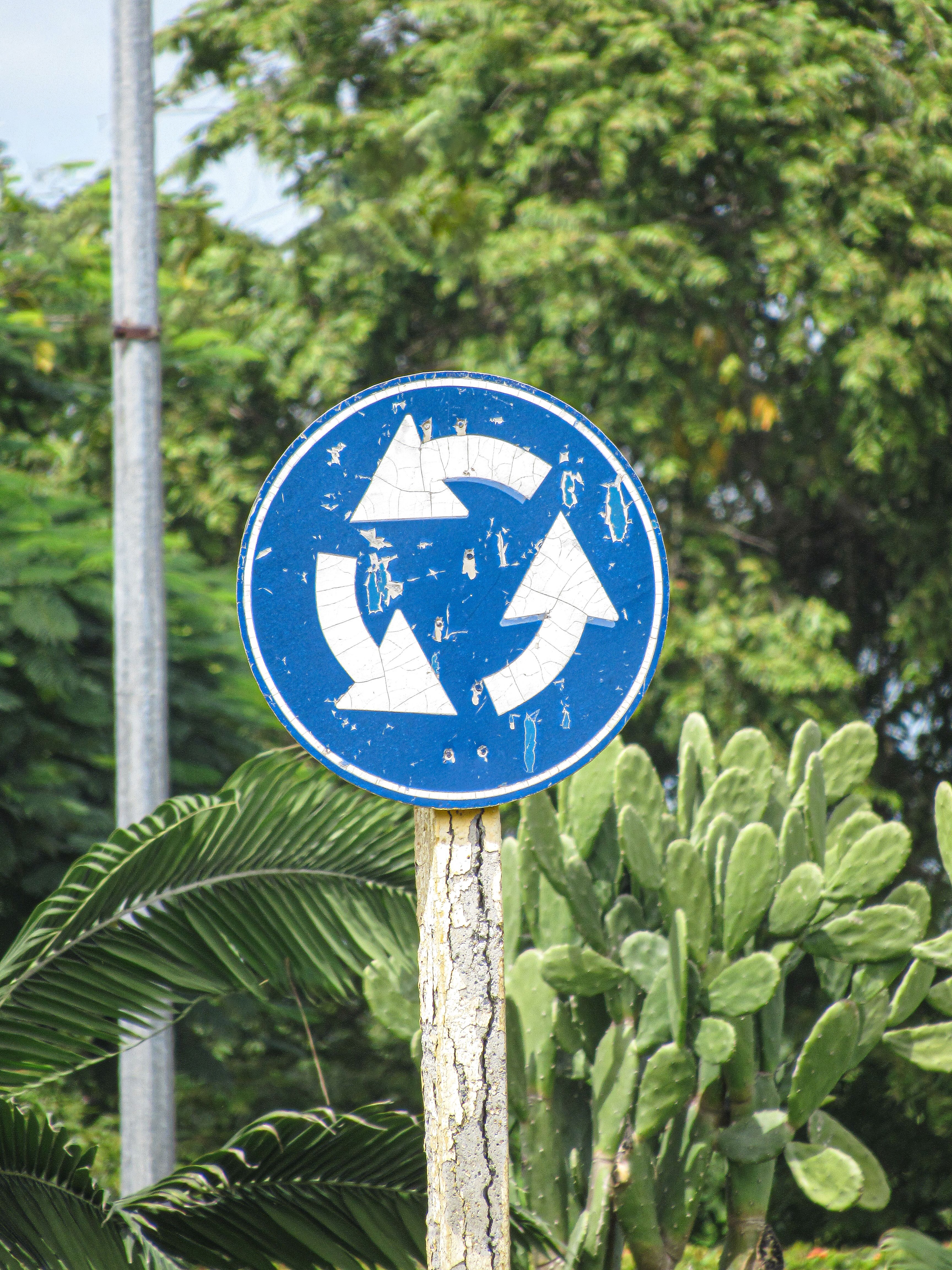 Old roundabout sign against green foliage, showcasing urban decay.