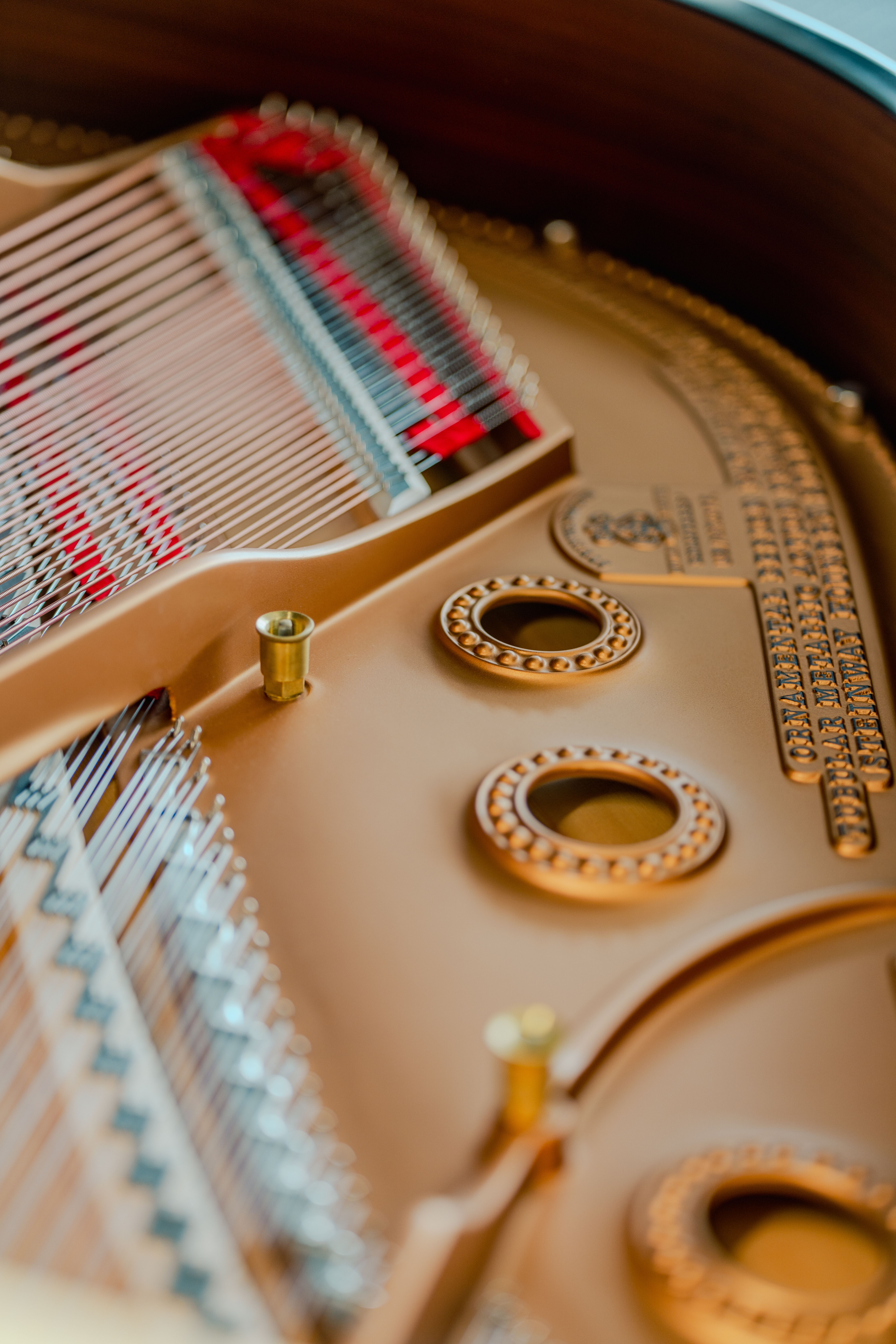 Detailed view of piano strings and tuning pegs showcasing craftsmanship.