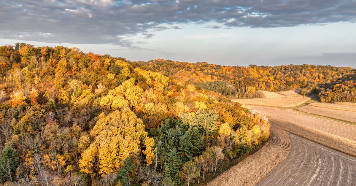 Wisconsin Fall Countryside Autumn Landscape in Nelson, Wisconsin Farmlands · Free Stock Photo