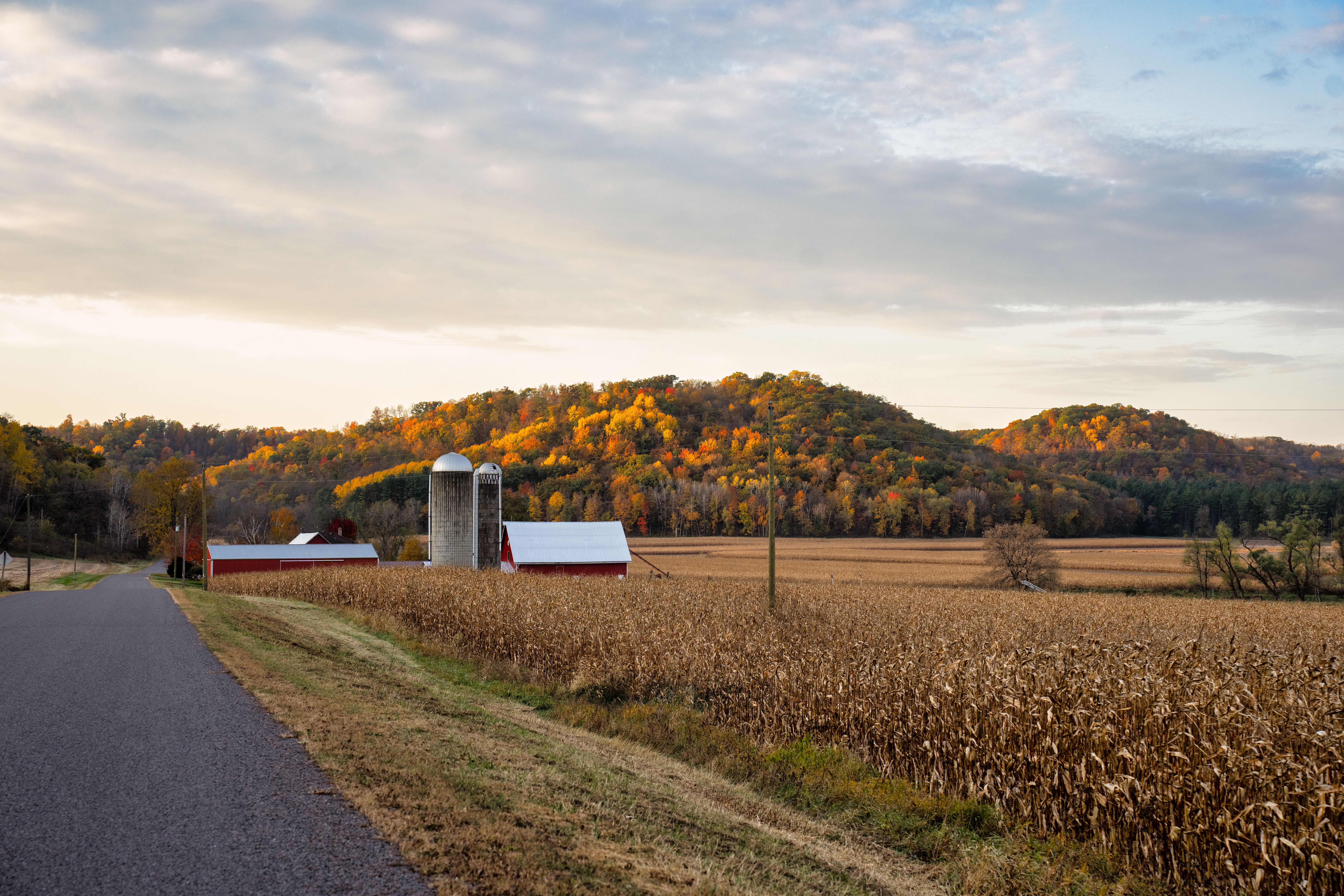 Picturesque view of a farm with silos and fall foliage in Ella, Wisconsin.