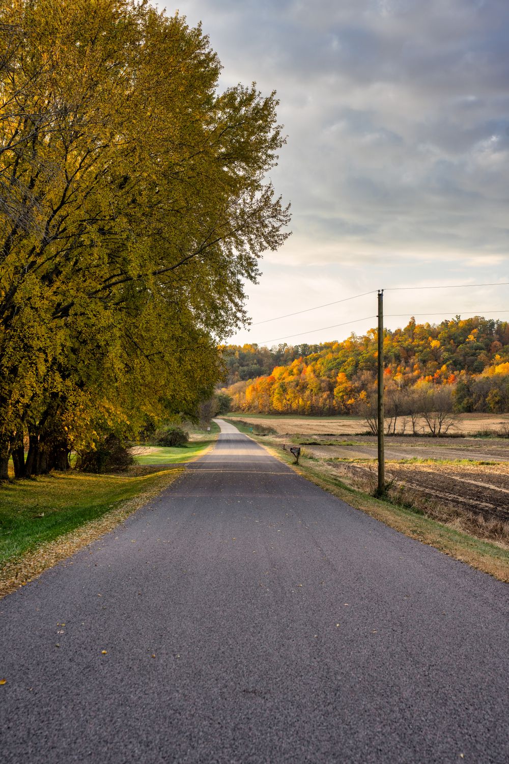 Wisconsin Fall Countryside Scenic Autumn Road in Rural Wisconsin · Free Stock Photo