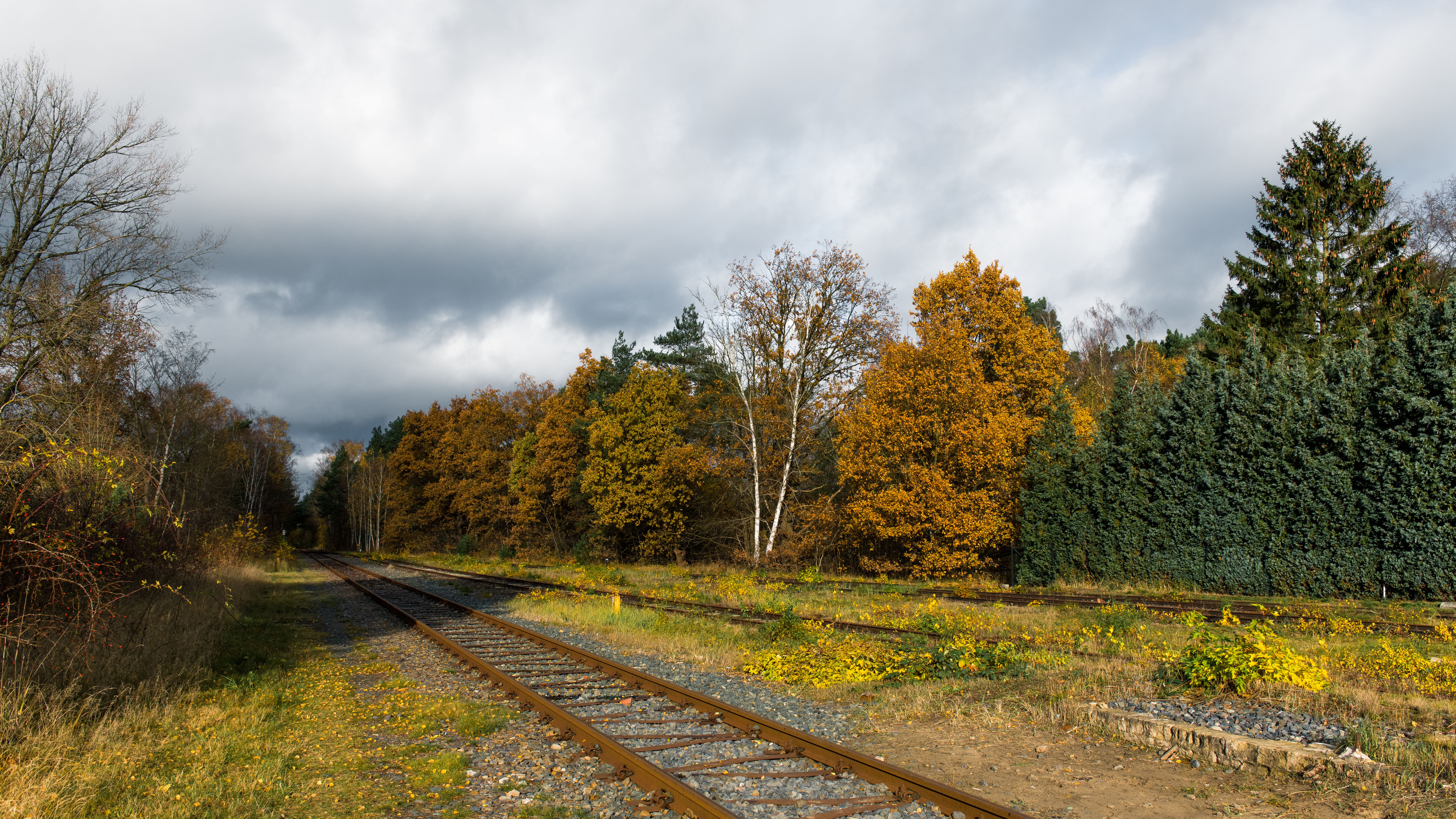 Vermonter