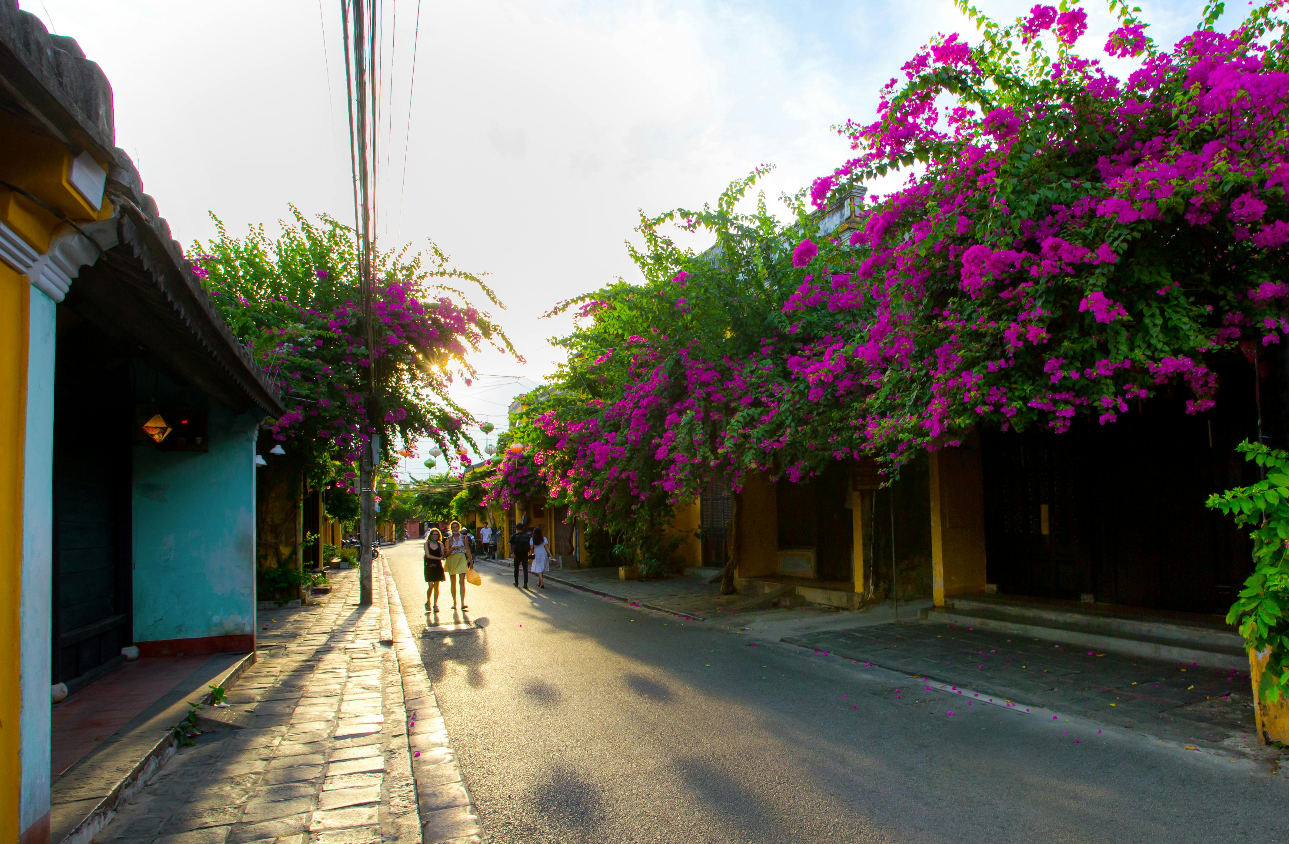 colorful street in Hoi An Vietnam cheapest countries to live in