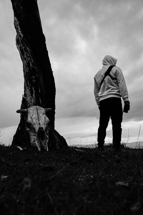 Free A moody black and white photo of a lone person by a tree and skull, Bolu, Türkiye. Stock Photo