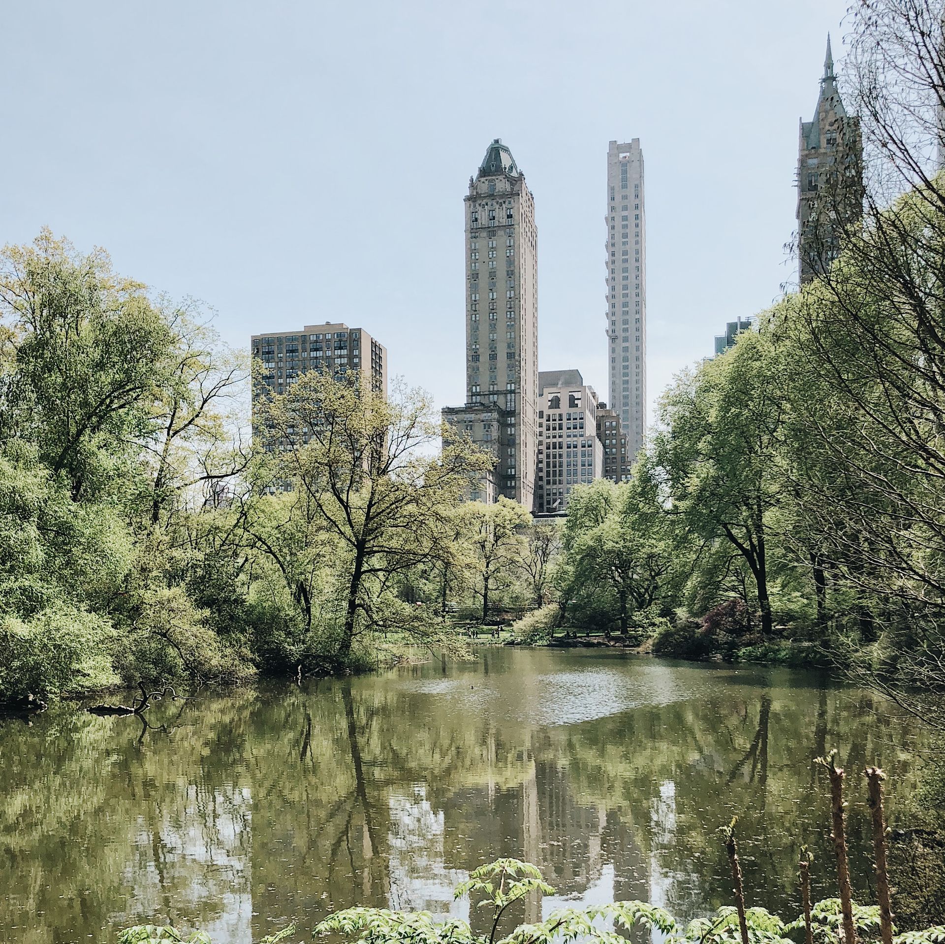 Urban park with skyscrapers in the background, reflecting on a calm pond surrounded by lush greenery.