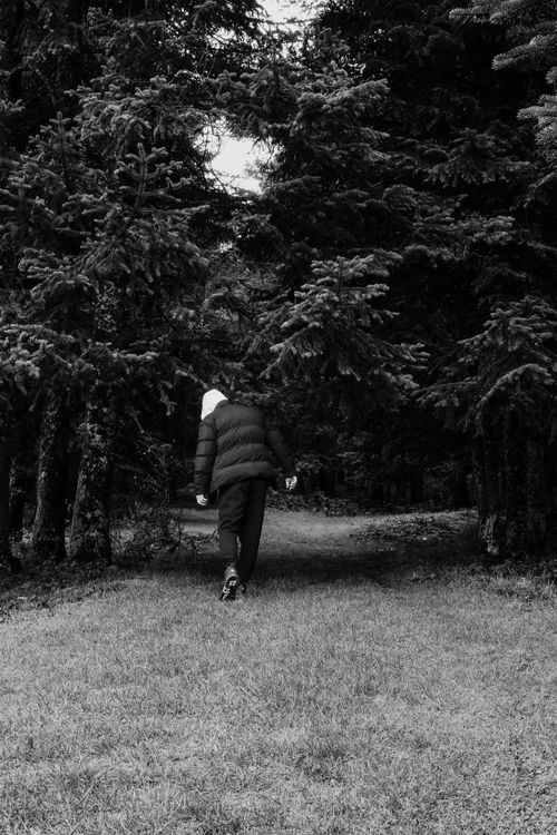 Free A person walks through a foggy forest, creating a mysterious and serene atmosphere. Stock Photo