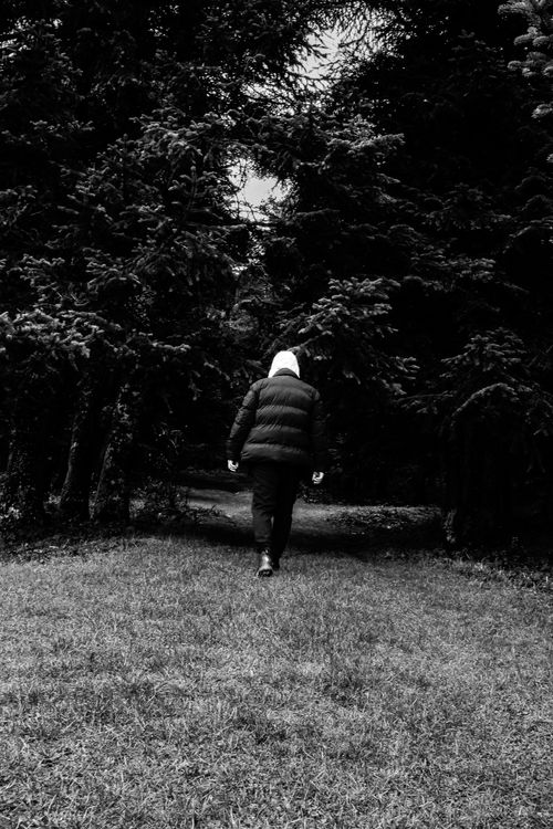 Free A person walking alone on a misty path through the dense Bolu forest, Türkiye, in black and white. Stock Photo