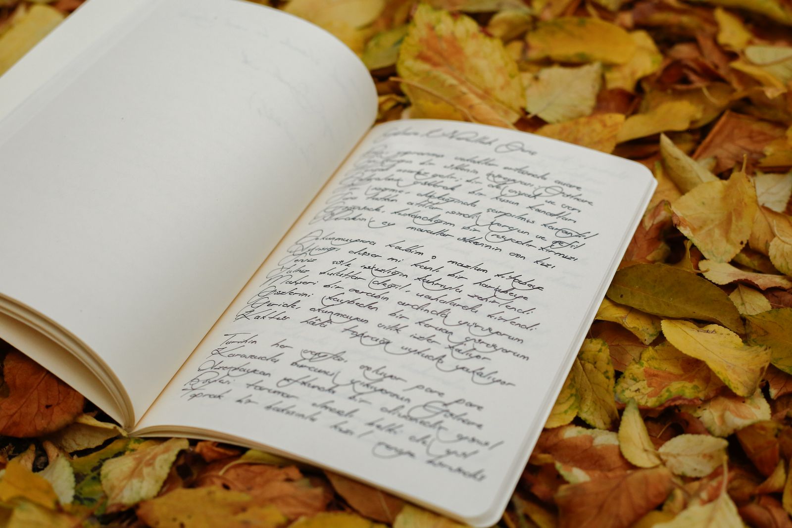 Poetry Book Photos, Download The BEST Free Poetry Book Stock Photos ...