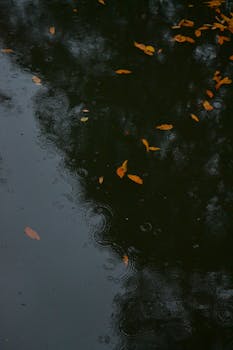 A tranquil scene of autumn leaves floating on water, reflecting surrounding trees.