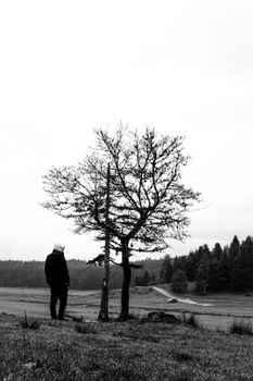 A solitary figure stands beside a tree in a foggy landscape, evoking mystery and solitude.