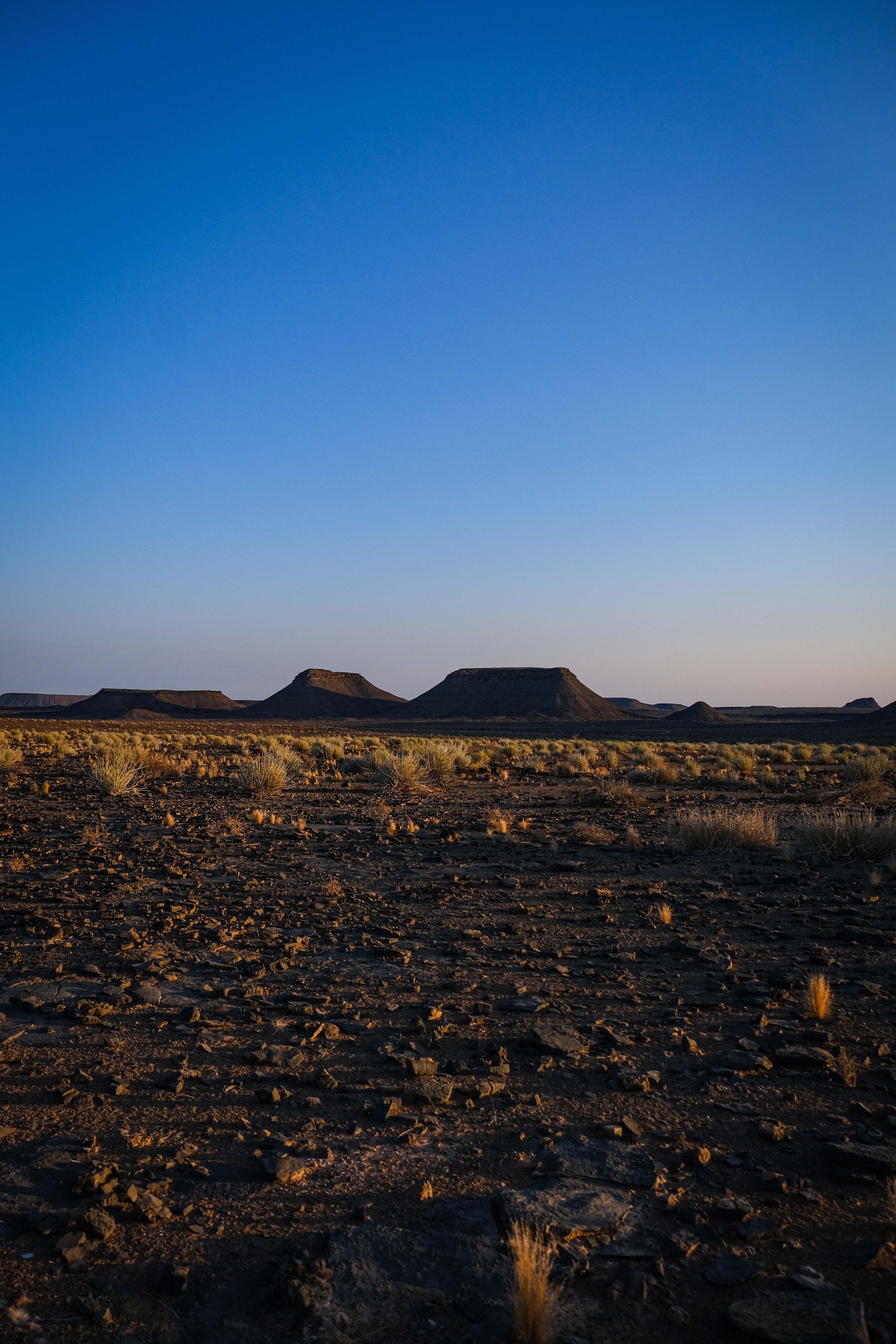 File photo: desert landscapes like Peru's preserved ancient markings for thousands of years.