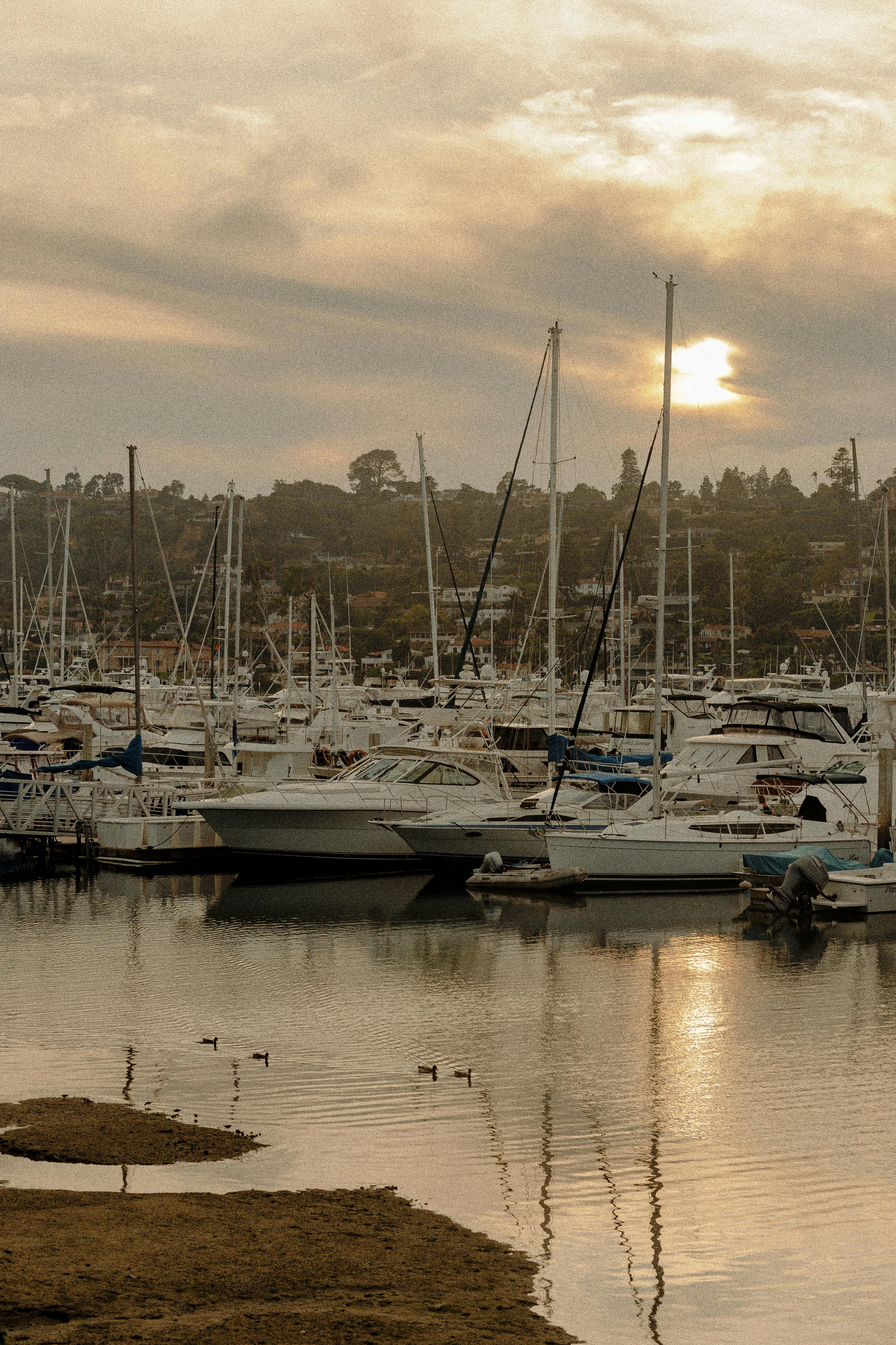 日出时分，宁静的码头上停着游艇，还有几只鸭子