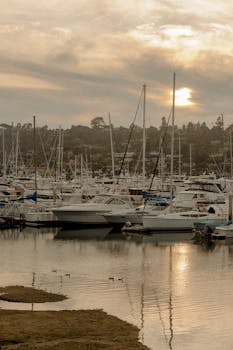 日出时分，宁静的码头上停着游艇，还有几只鸭子