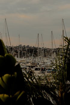 黄昏时分，港口停靠着船只，桅杆林立，一片宁静