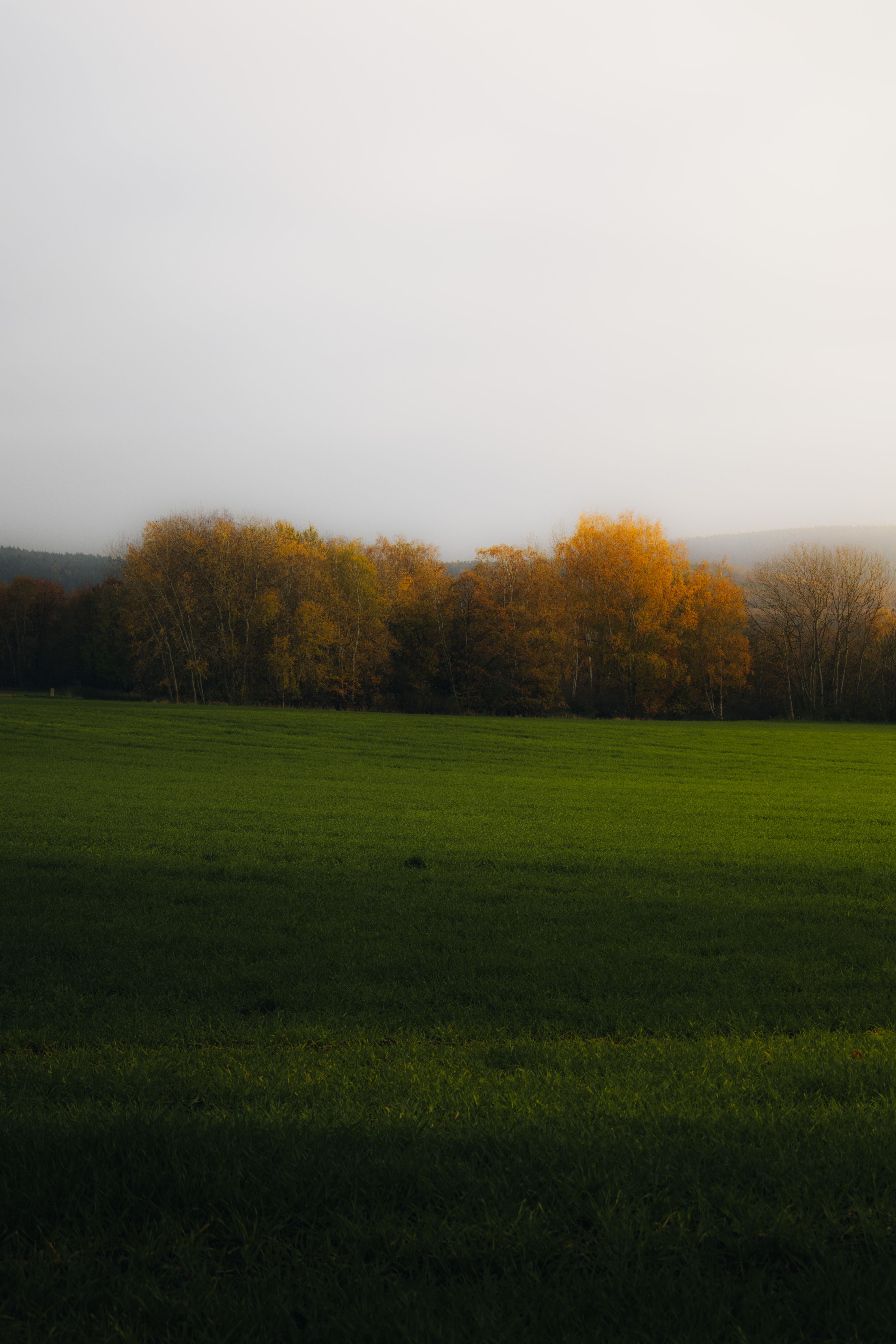 Serene Autumn Landscape with Colorful Trees · Free Stock Photo