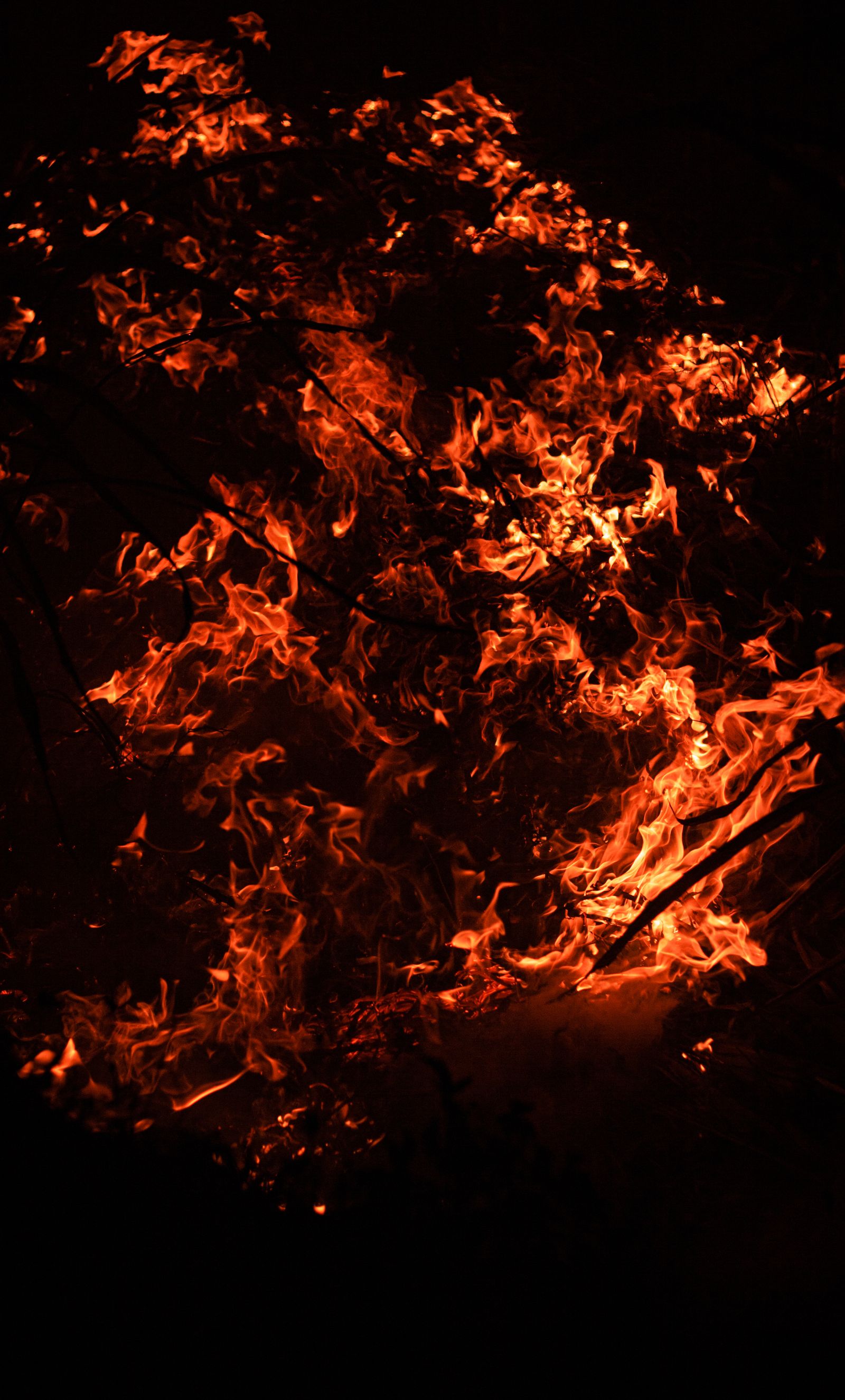 Wildland Fire Photos, Download The BEST