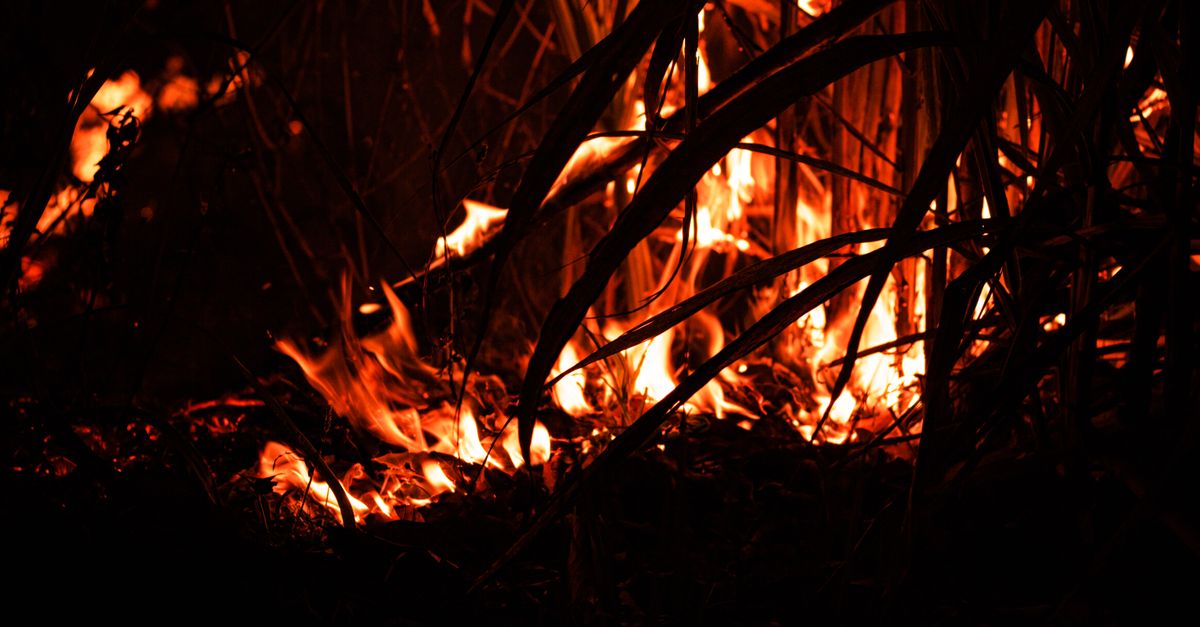 Hay siete personas detenidas por un frustrado ataque incendiario contra una comunidad judía en Londres Hay siete personas detenidas por un frustrado ataque incendiario contra una comunidad judía en Londres
