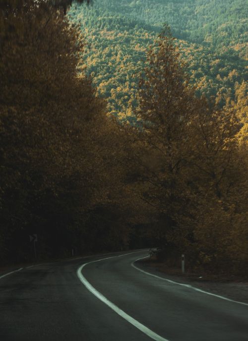 Free A quiet, winding road through a serene autumn forest with mountain backdrop. Stock Photo