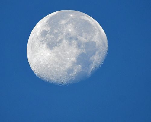 Free A detailed photograph of the moon in the daylight with the clear blue sky background, showcasing lunar craters. Stock Photo