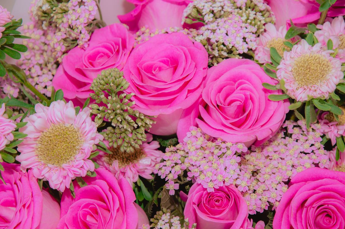 Vibrant Bouquet of Pink Roses and Daisies · Free Stock Photo