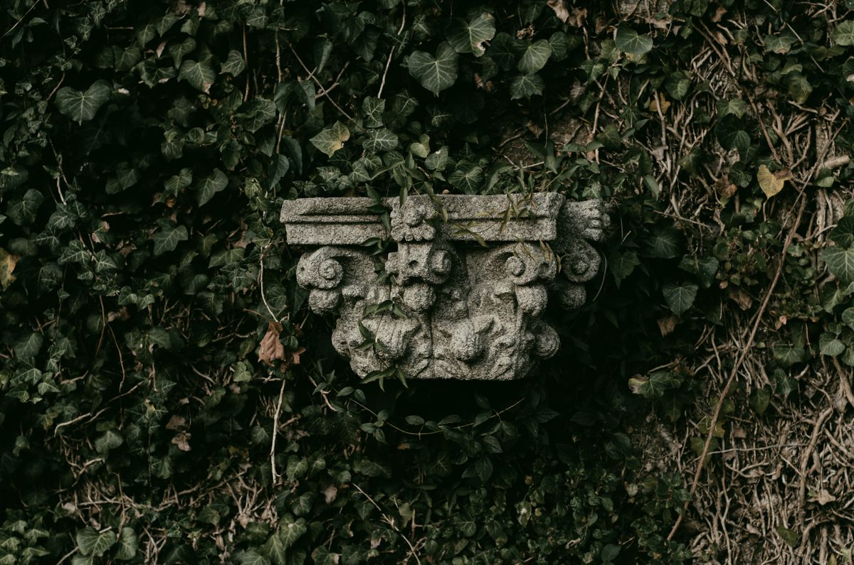 Celtic Mythology in Wall Art: Animals and Goddesses