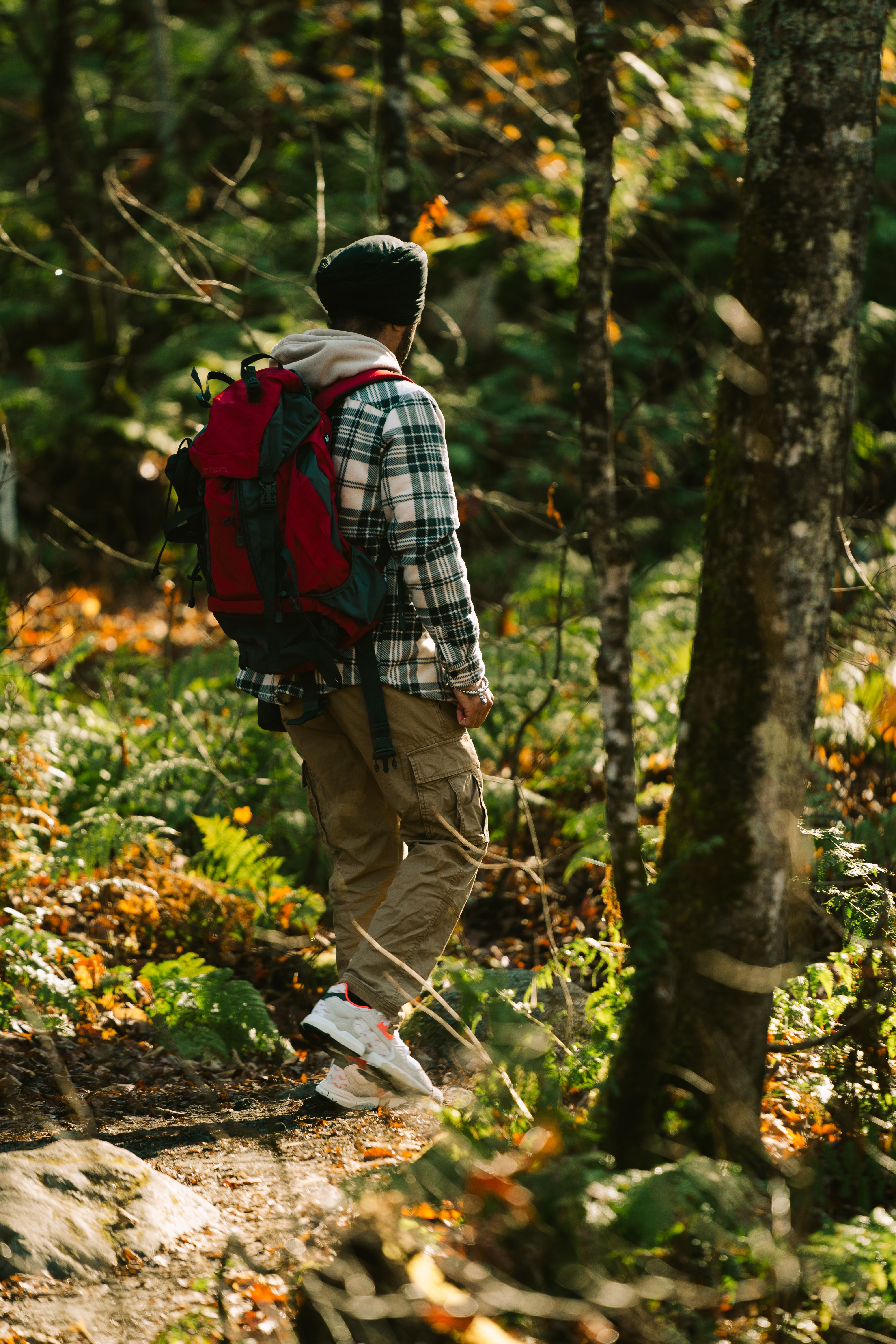 Autumn Hike Through Lush Forest Trail · Free Stock Photo