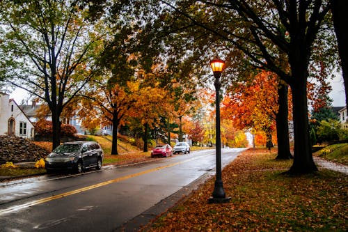 Multiple States Brace for a September Polar Vortex