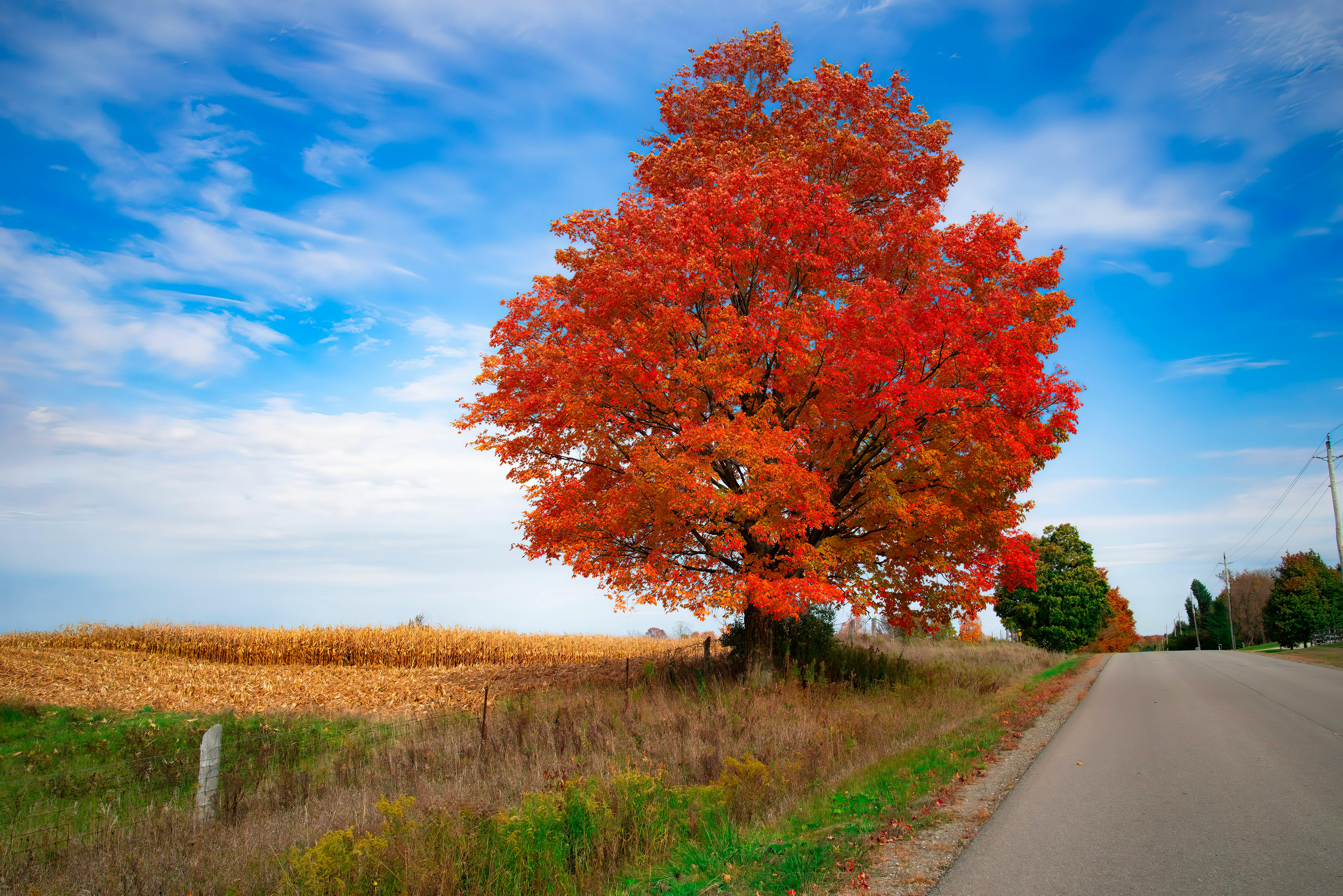 Ohio rural healthcare access — an advanced solution? — Photo by @coldbeer on Pexels