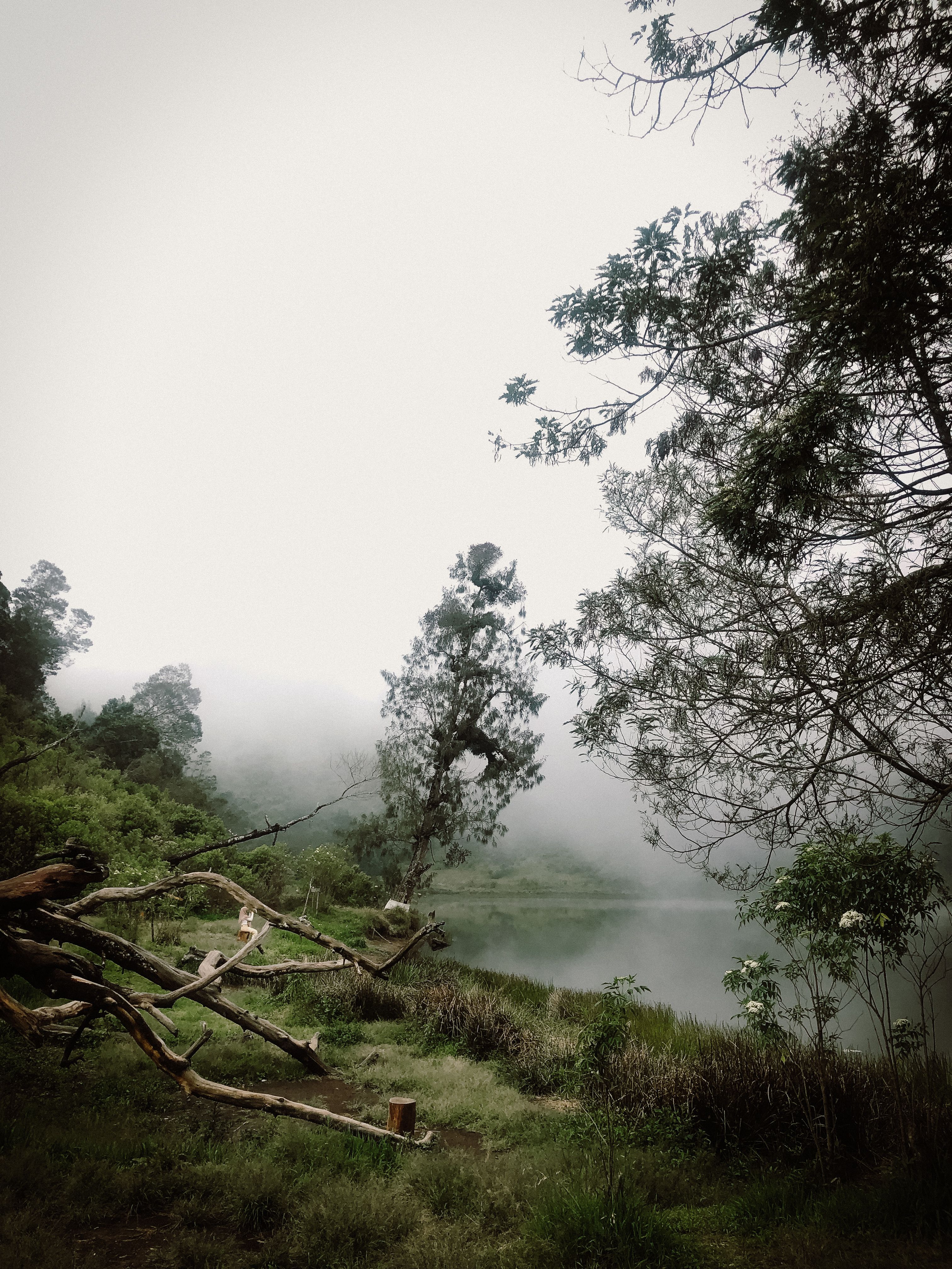 Pemandangan Ranu Regulo Dengan Danau Yang Indah · Foto Stok Gratis