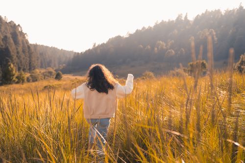 Free A child with curly hair walks through a golden meadow during a sunny day, surrounded by trees. Stock Photo