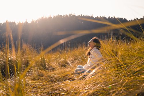 Free Sunny day in a meadow with tall grass, featuring a woman relaxing and enjoying nature's tranquility. Stock Photo