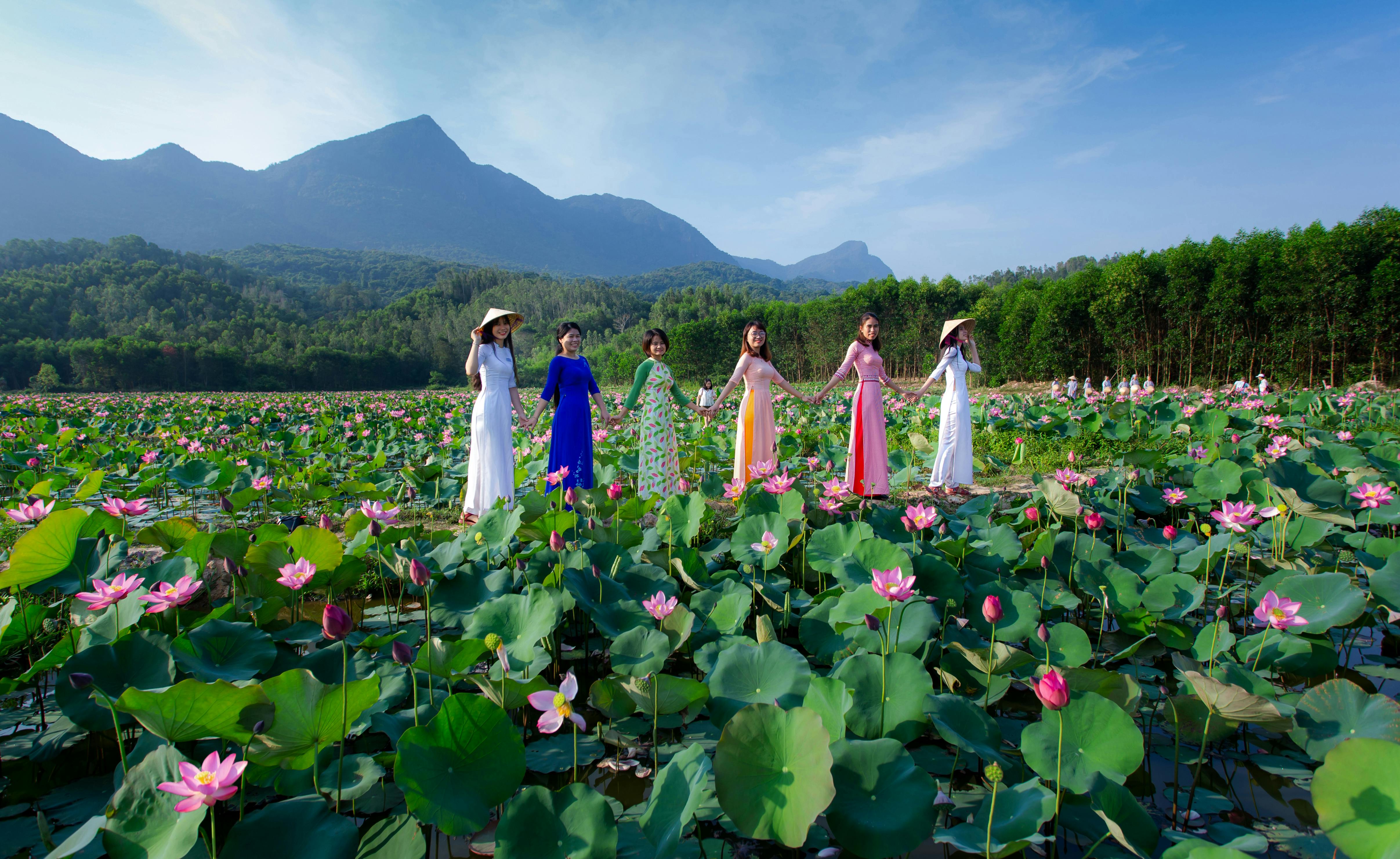 A group of women in colorful dresses holding hands in a blooming lotus field with mountains in the background.