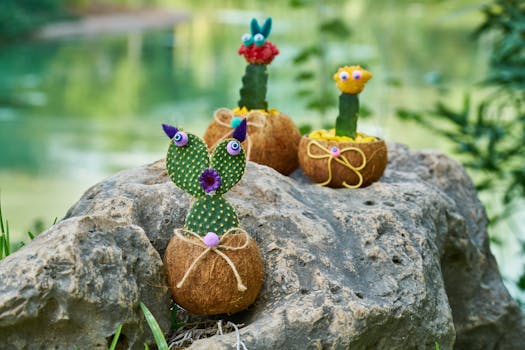 岩石上陈列着可爱、装饰精美的椰子壳仙人掌