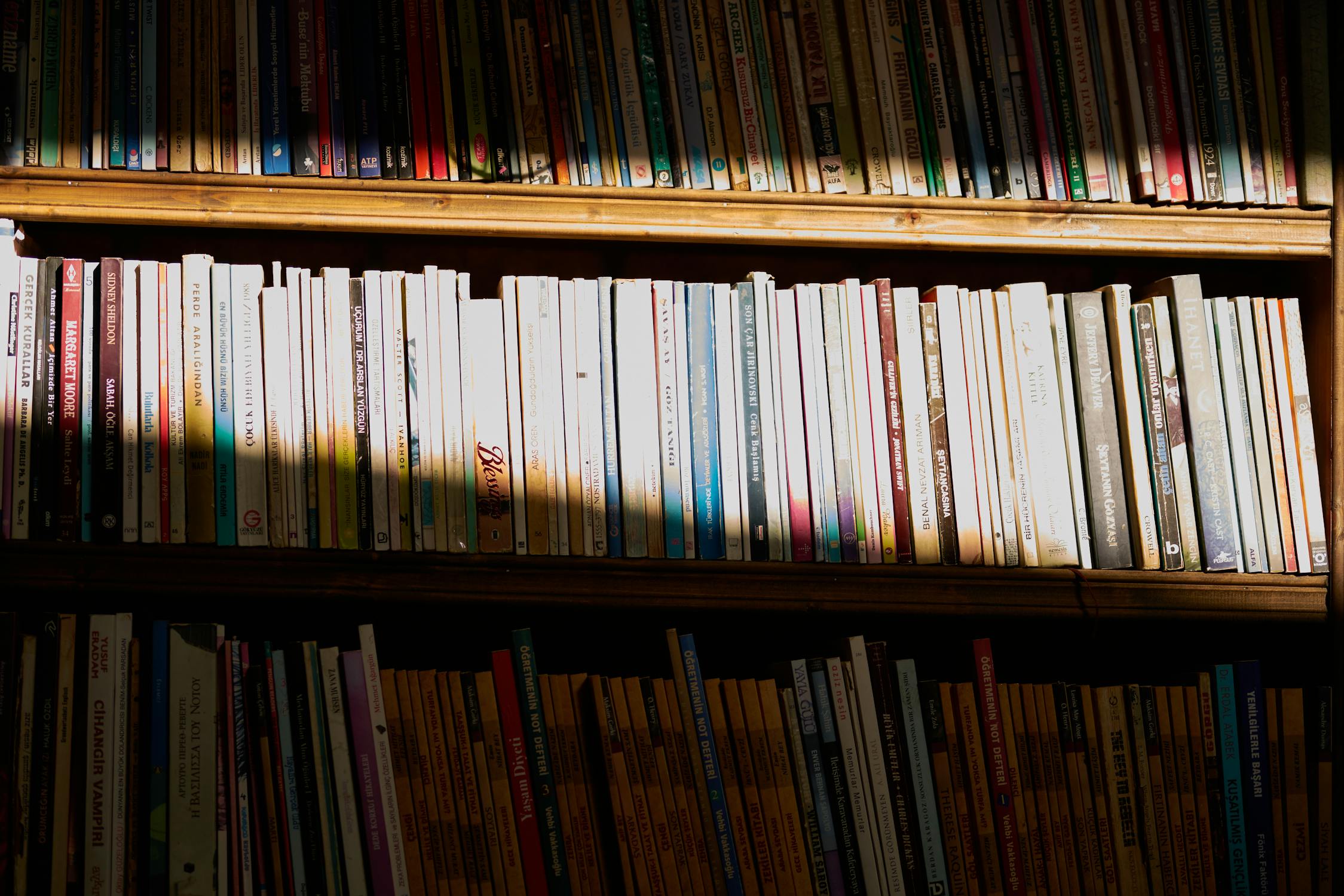 Sunlight casting light on a shelf of books
